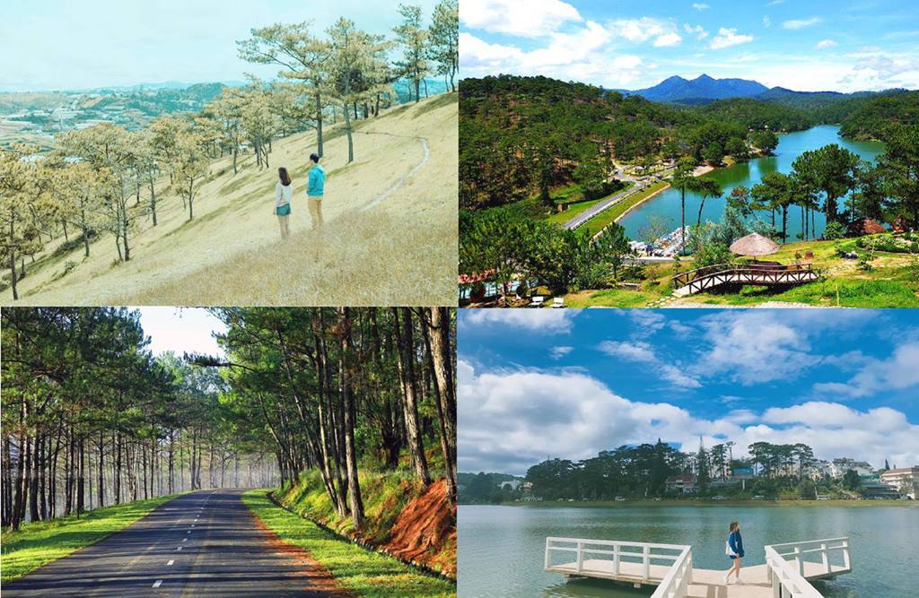 homestay đà lạt cho thuê giá rẻ
